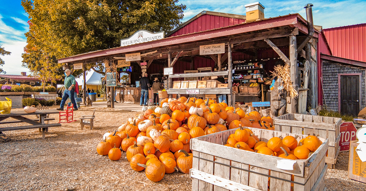 Apple Picking In Vermont 3 Great Apple Orchards To Visit This Fall