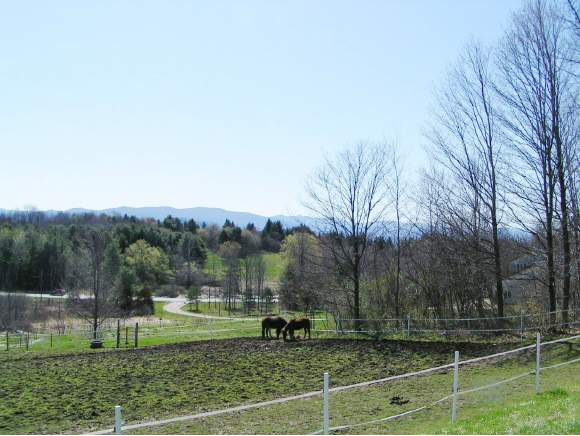  Cider Mill Road