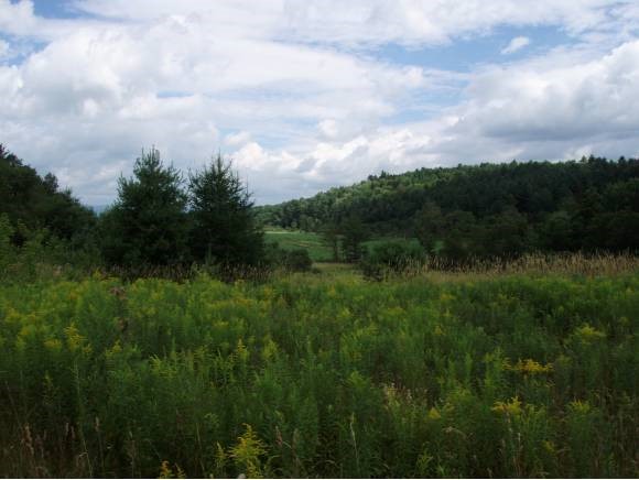  Goeltz Road