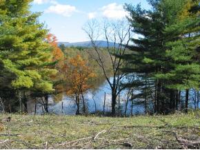  Morgan Horse Farm Road