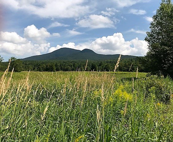  Mountain Road