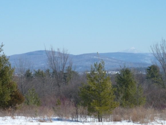  Plank Road