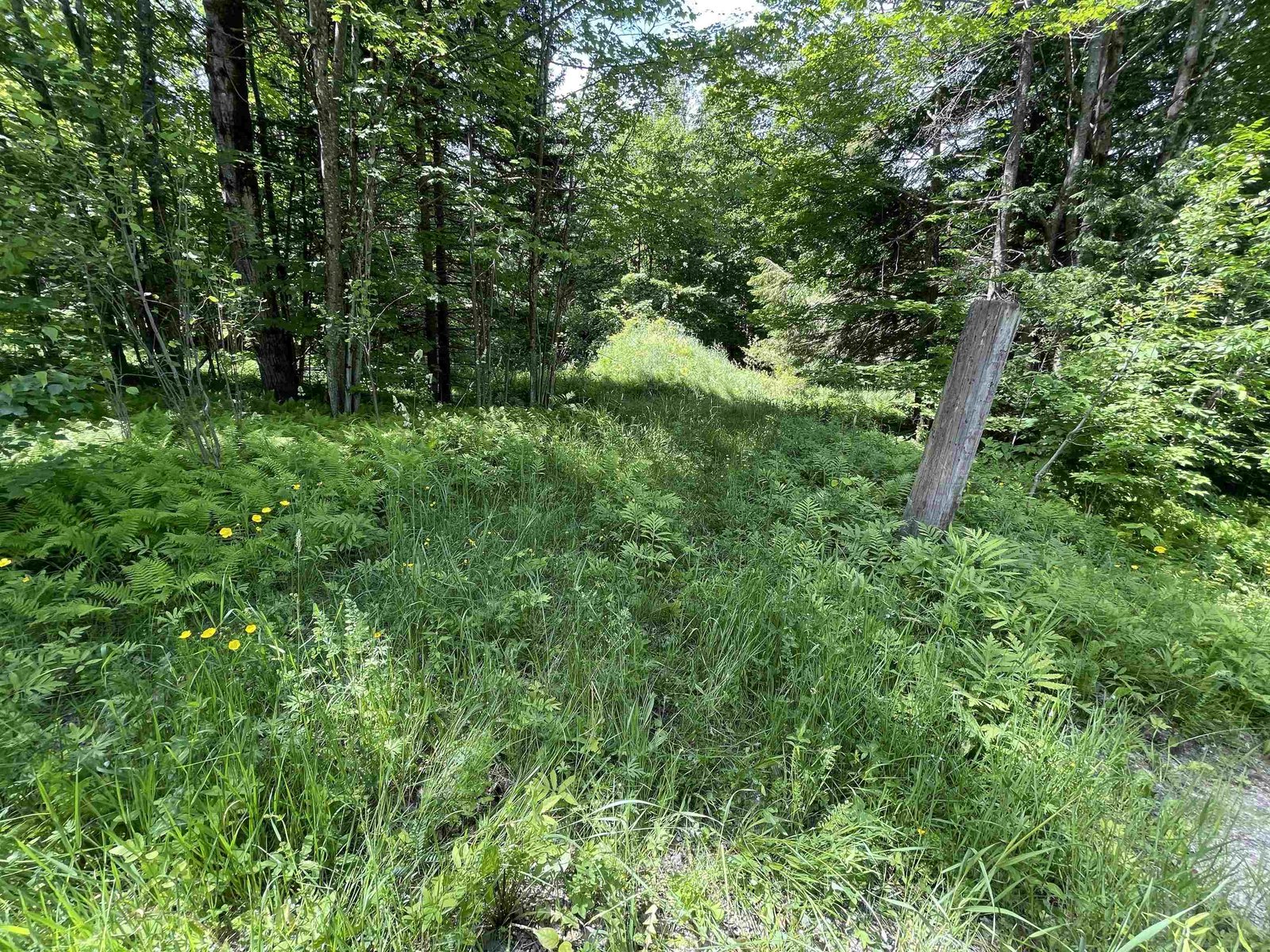 Corner lot with Schuss on left and common on bottom