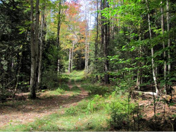  TBD off of Stump Dump Road