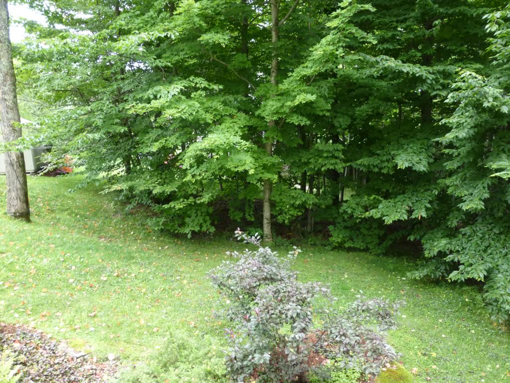  Trailside Executive 7 at Smugglers' Notch Resort, Unit 7