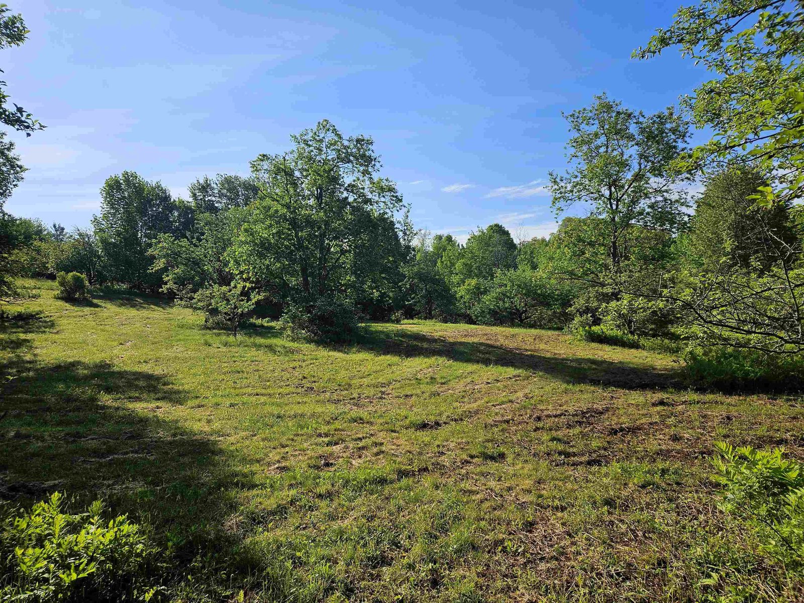 3.5 Acre Lot