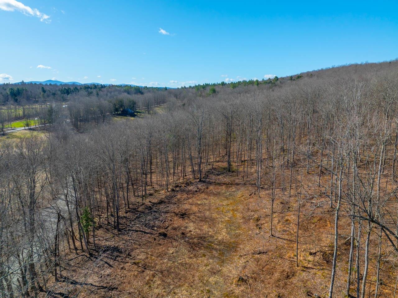 Clearing Above Fowler Road