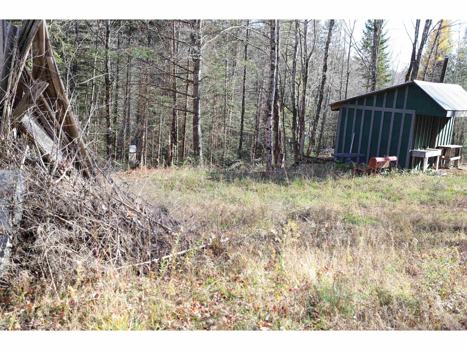 Clearing for Bonfires and Activities