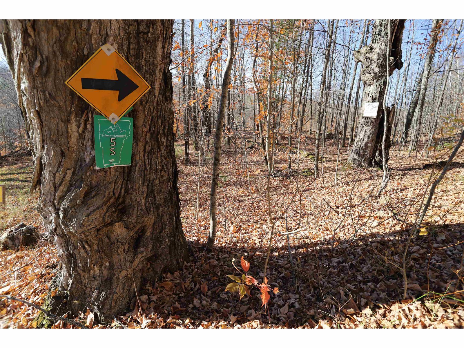 Snowmobile Trail