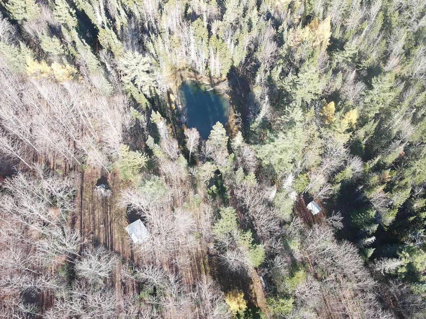 Spring-Fed Pond & 2 Cabins