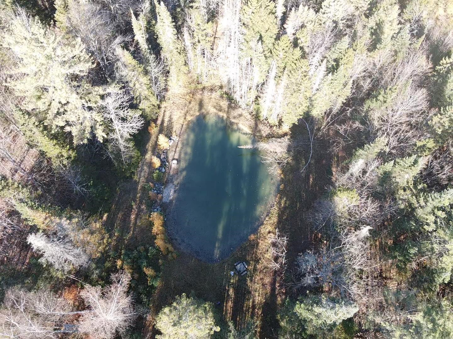 Drone View of Spring-Fed Pond