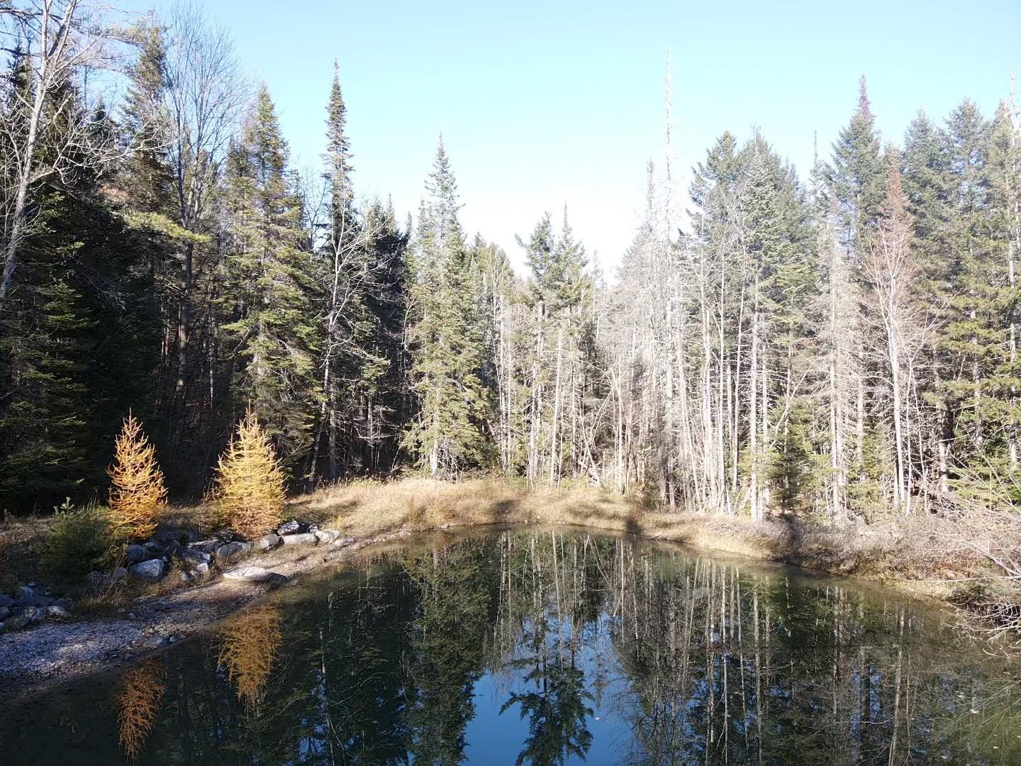 Clear Spring-Fed Pond