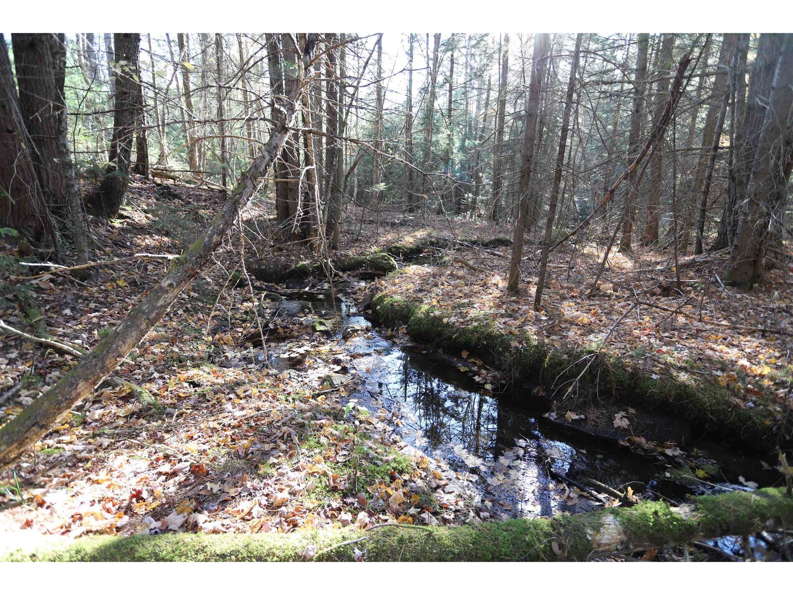 Creek Flowing Through