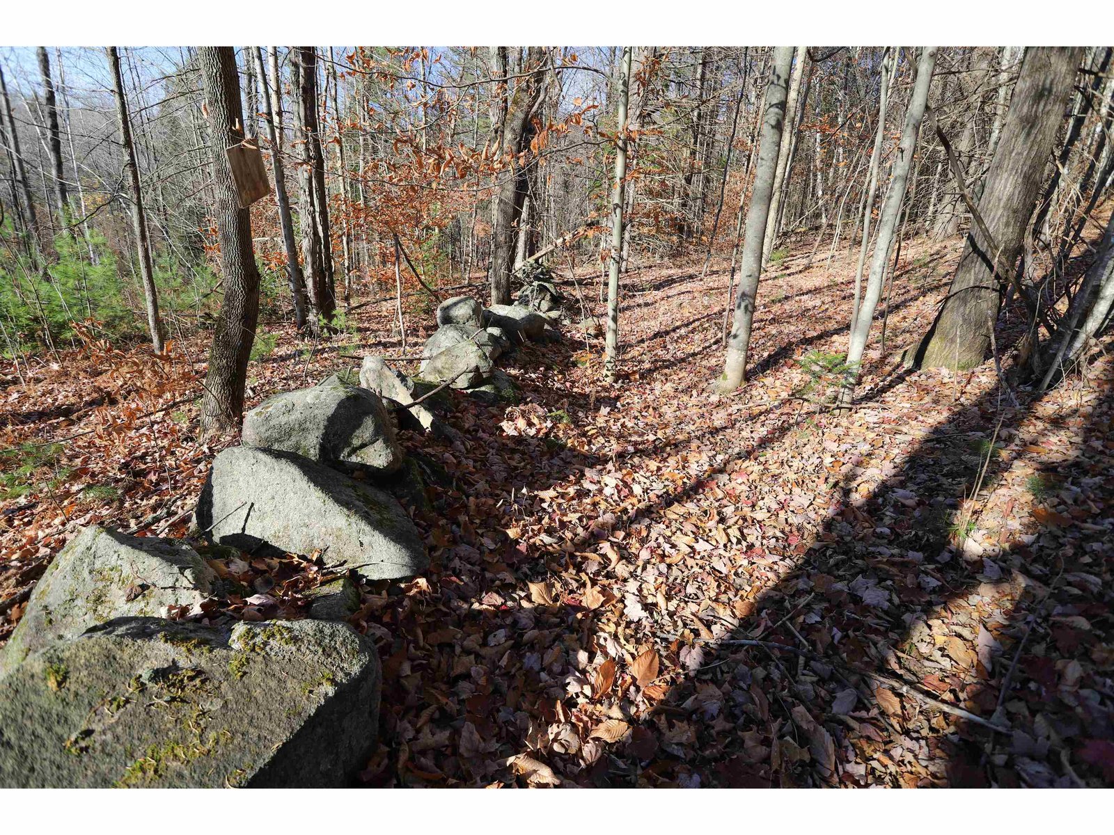 Field Stone Wall at Boundary