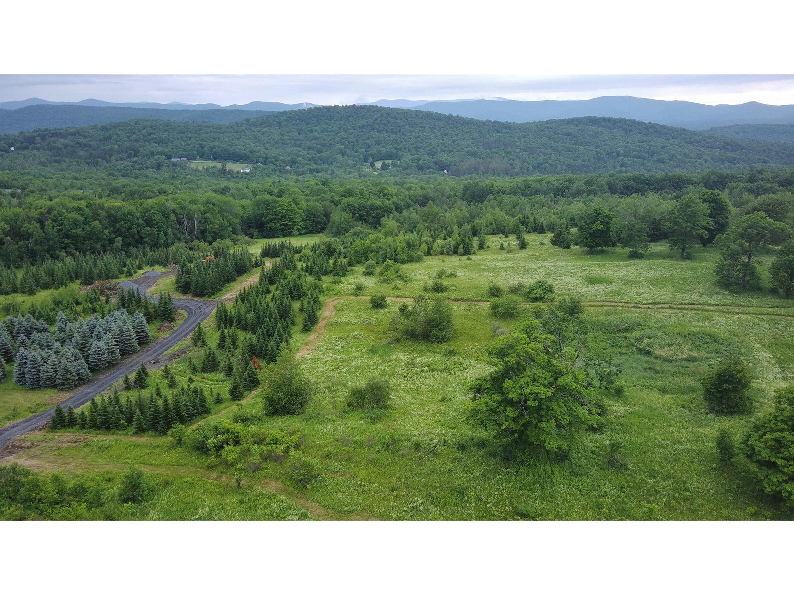 Above Lot 3 Looking WSW