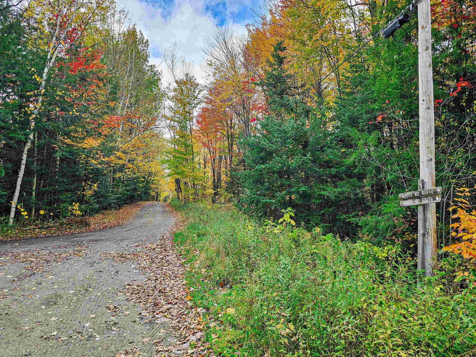 Idyllic Dirt Road