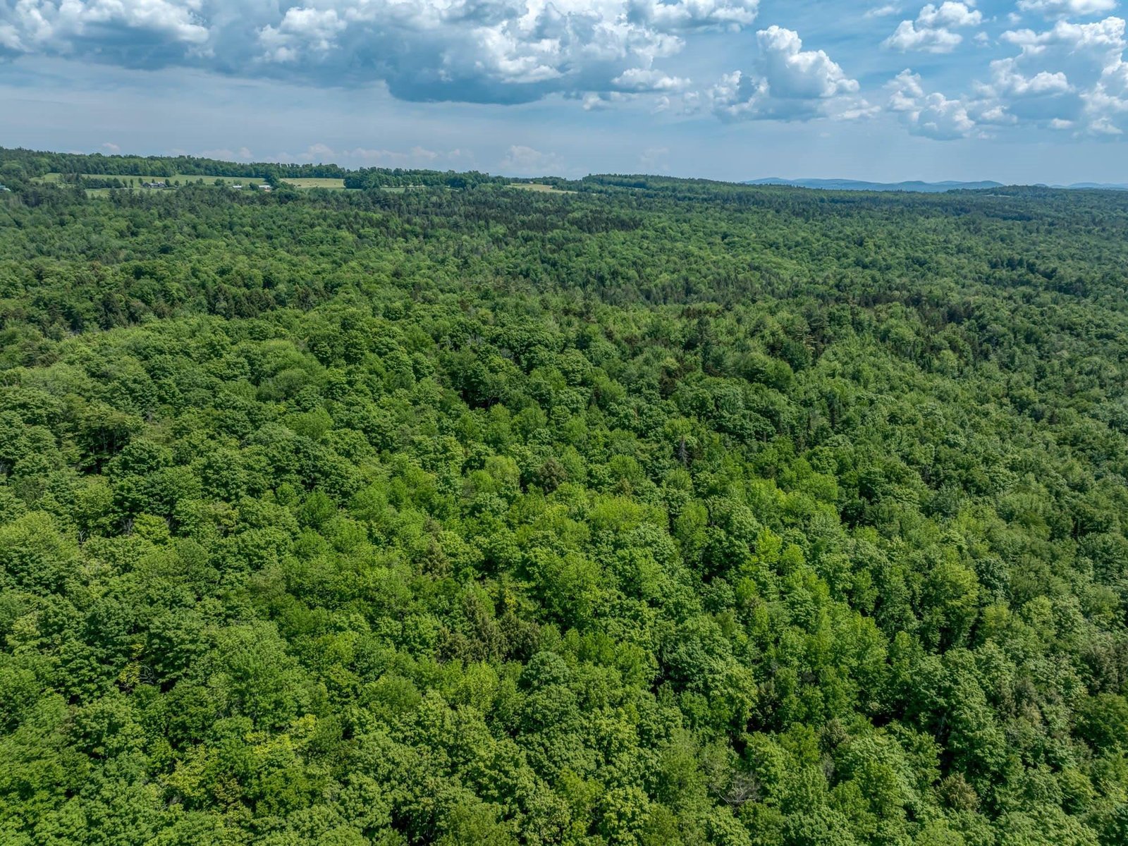 00 Craftsbury Road