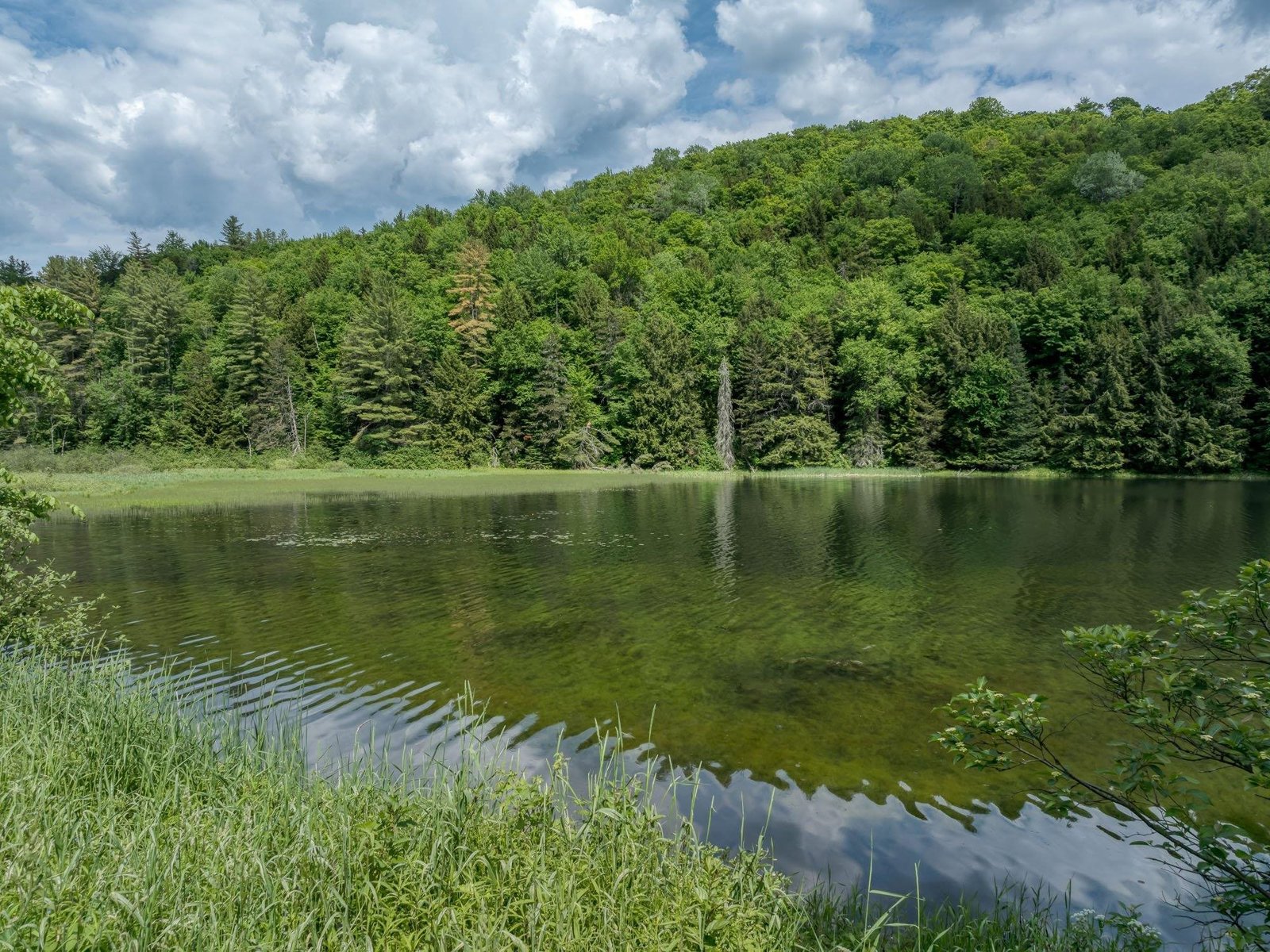 00 Craftsbury Road