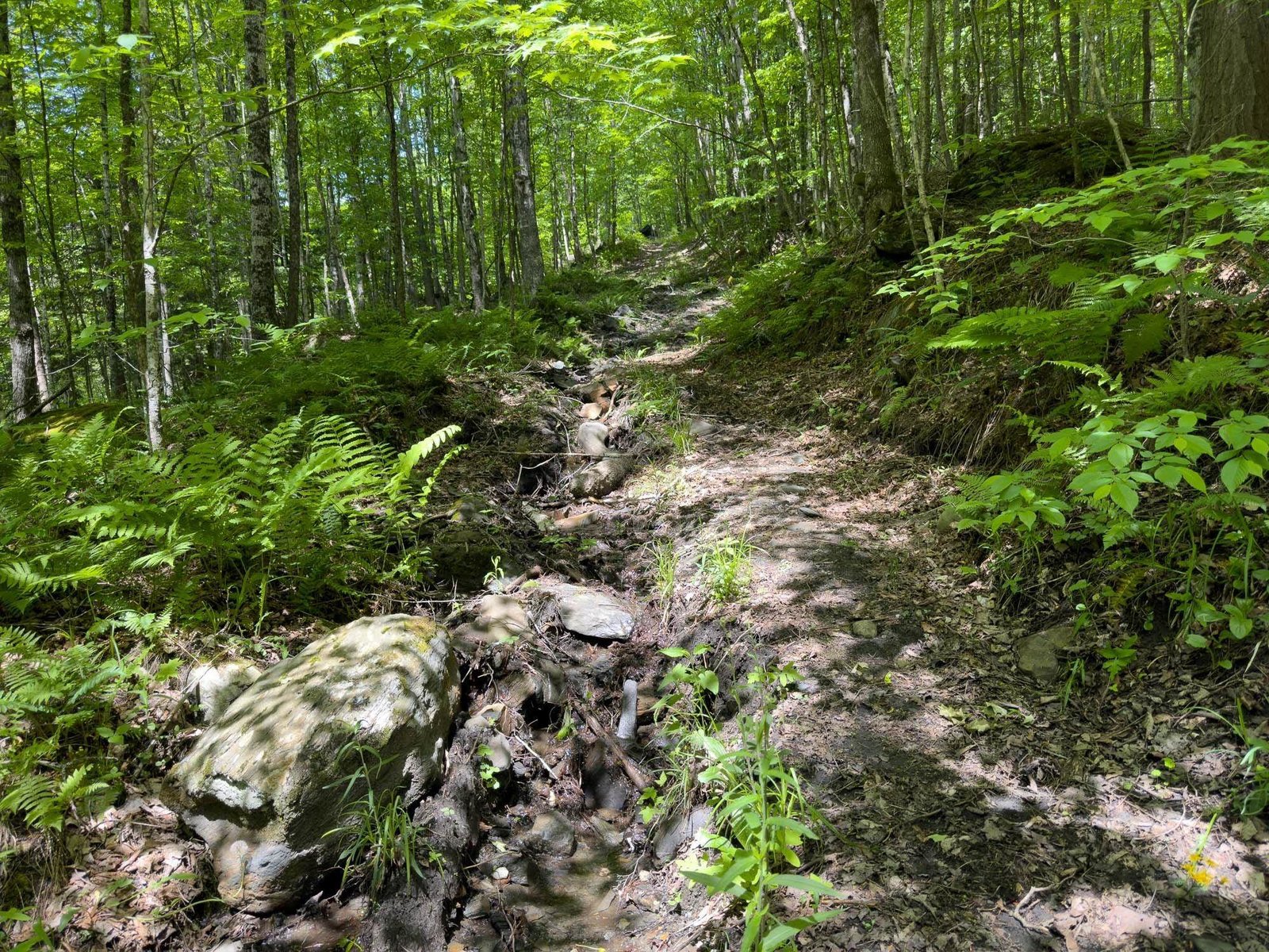 00 Craftsbury Road