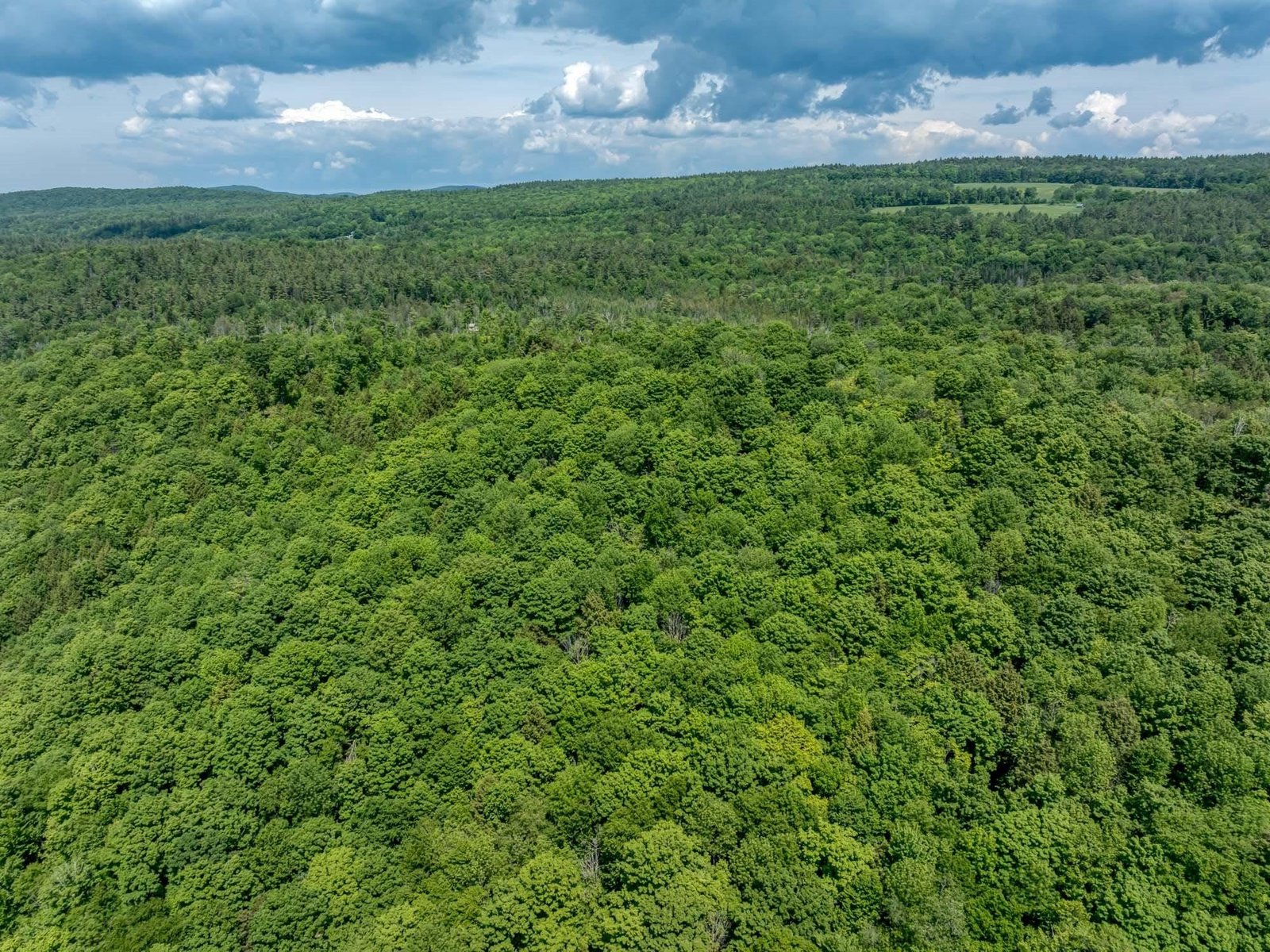 00 Craftsbury Road