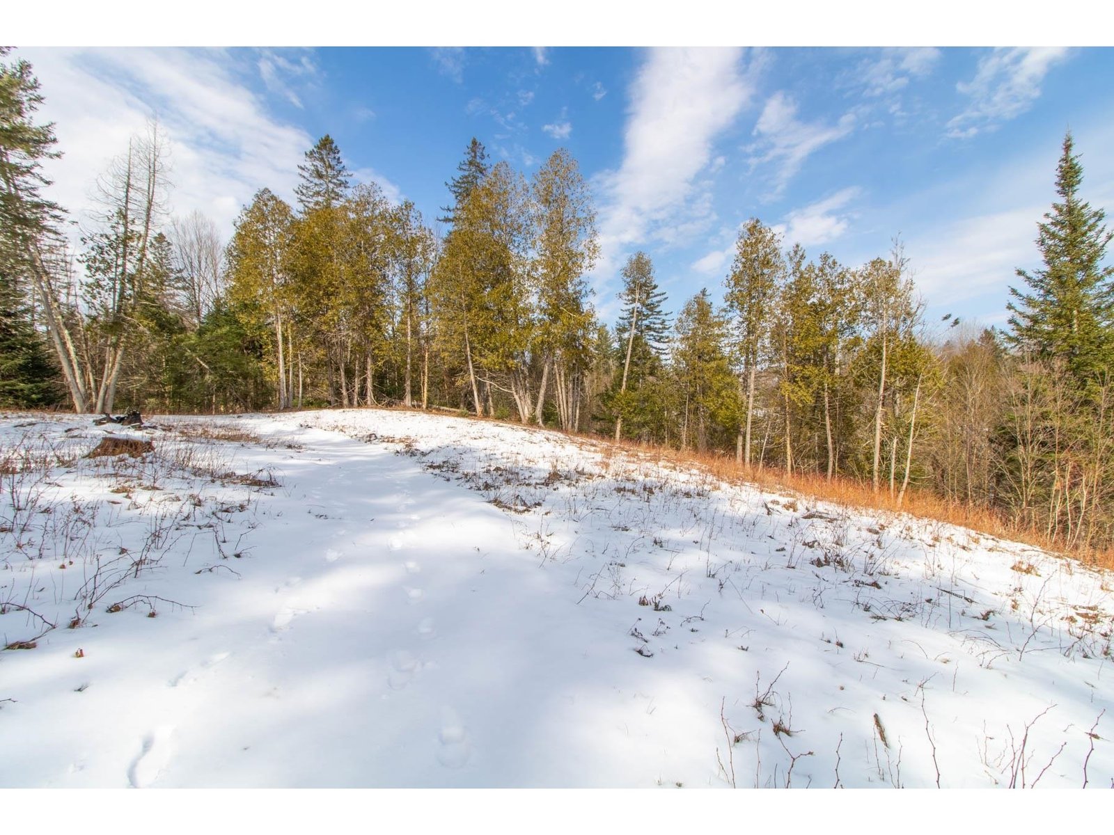 Looking back up the hill at building site on lot 2