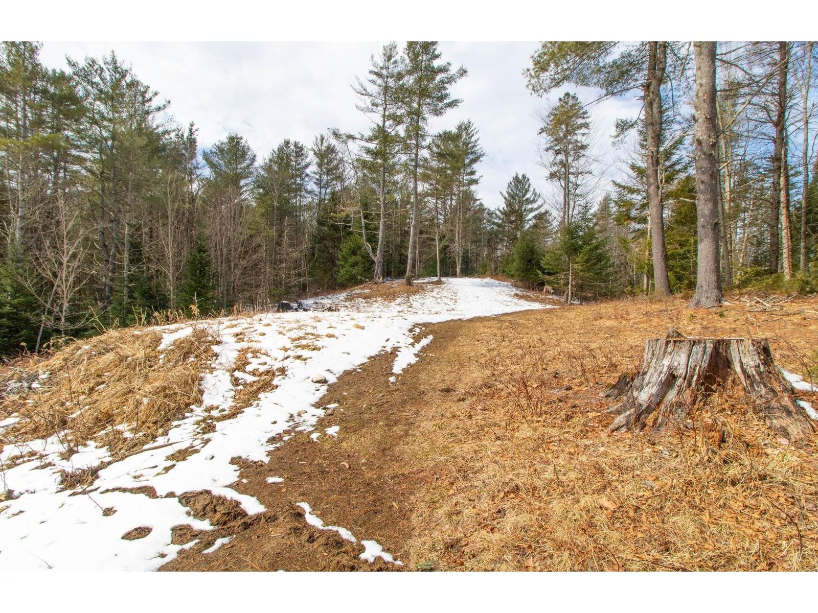 Cleared site on lot 3