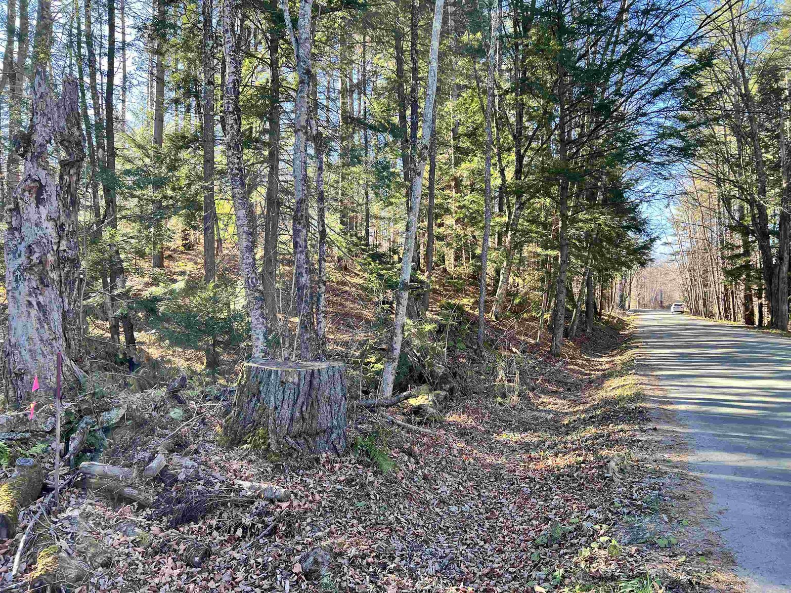 Private Bluff well above Roadway