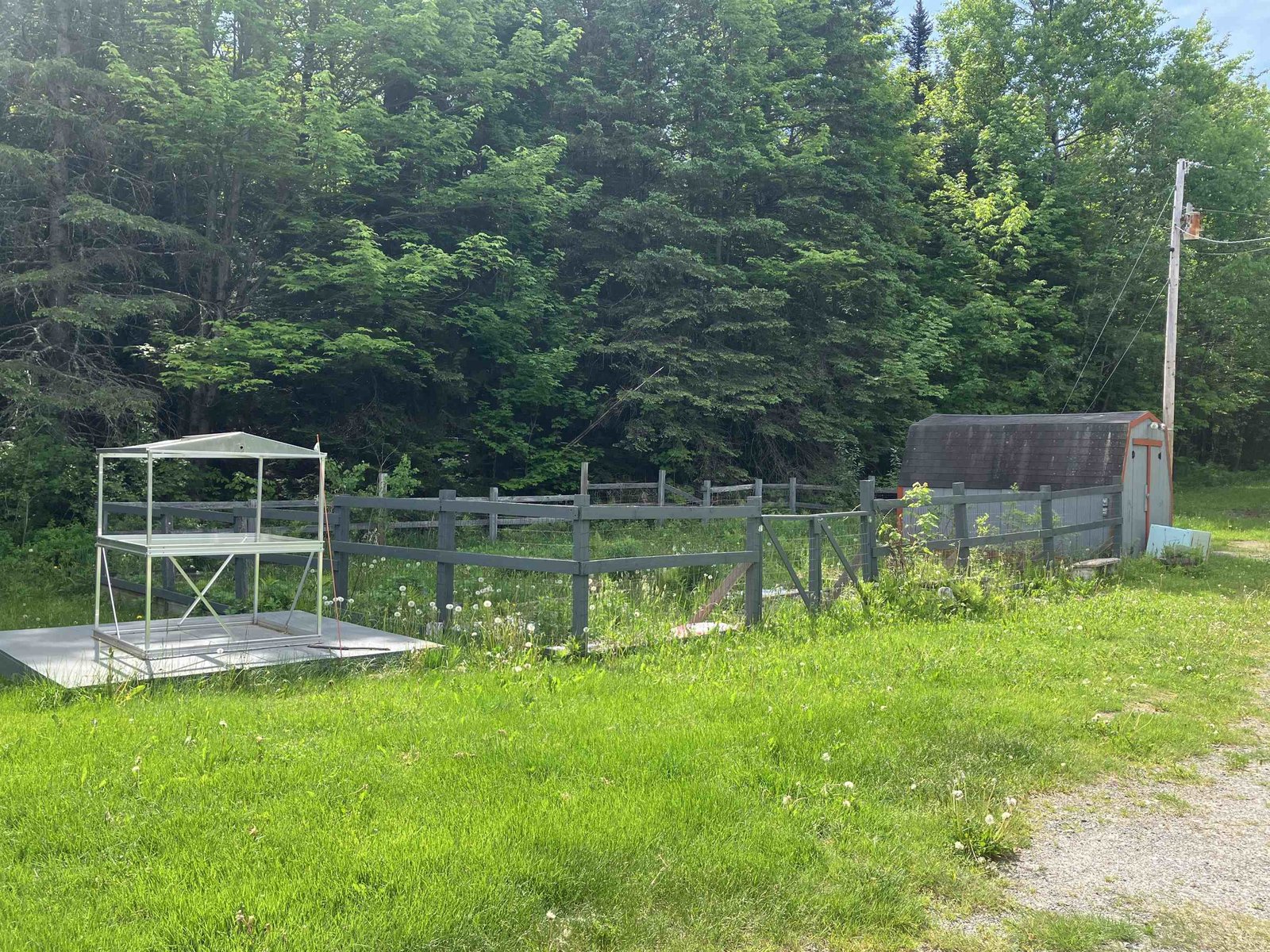 Fenced in Garden area and Shed