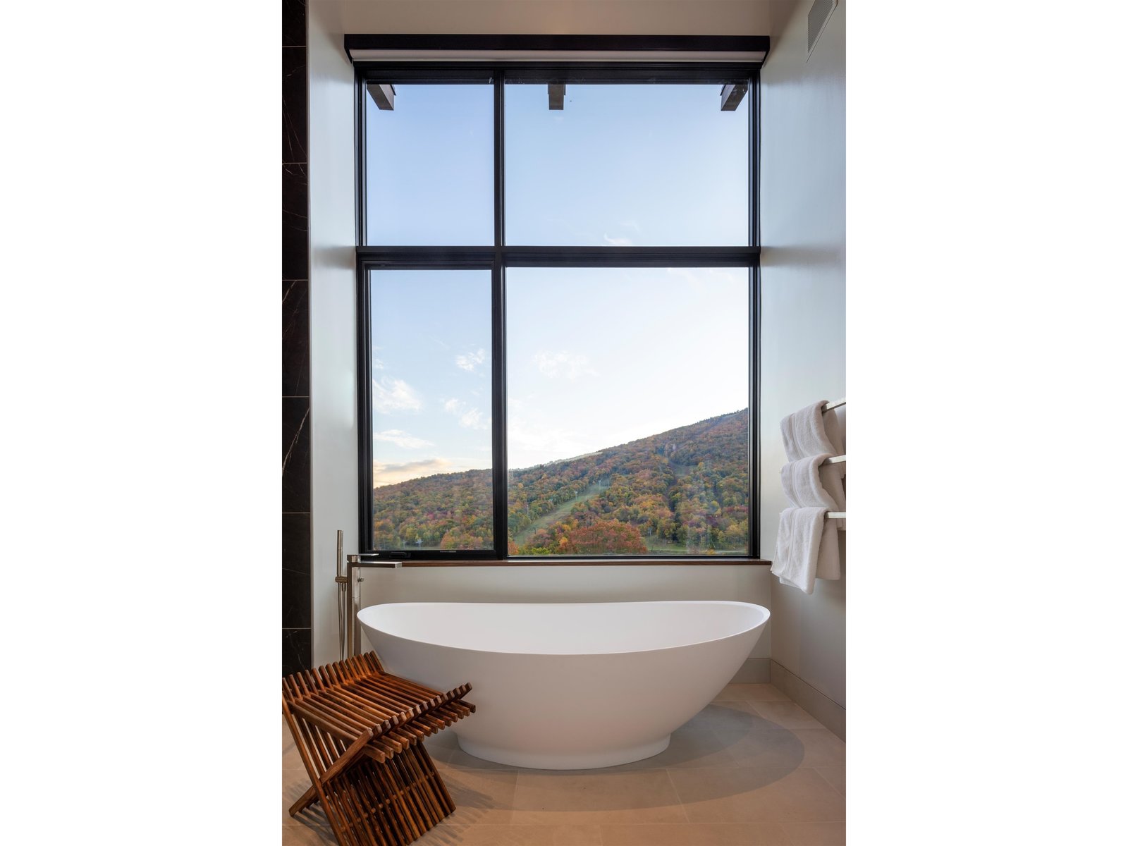 Primary Bath and View