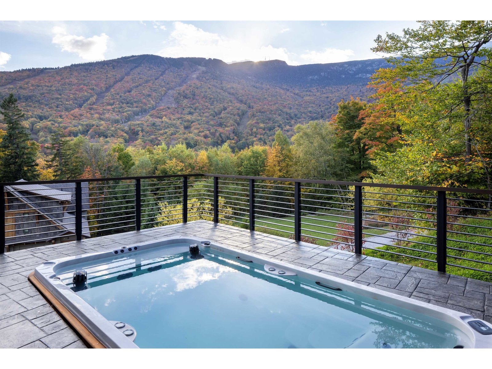 Endless Pool and Jacuzzi