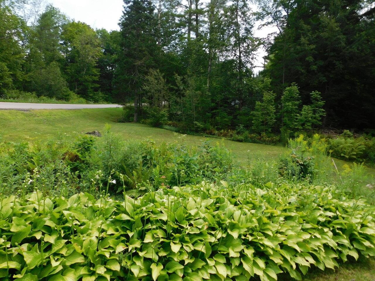 Front Yard View