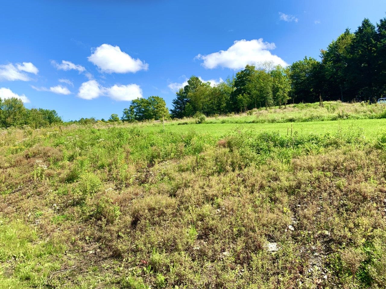 Field in Back of Home