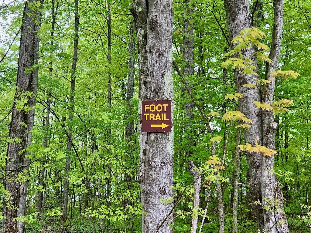 Foot Trail This Way