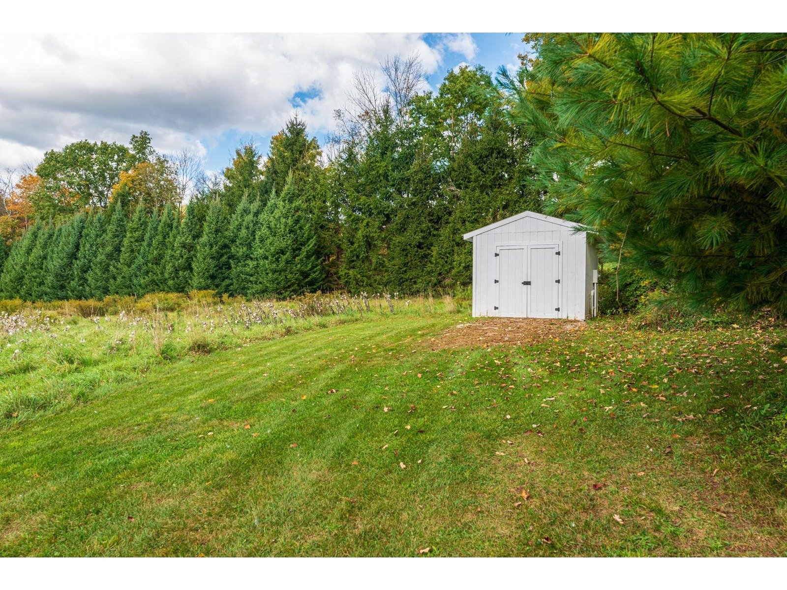 Garden Shed tucked in the Pines