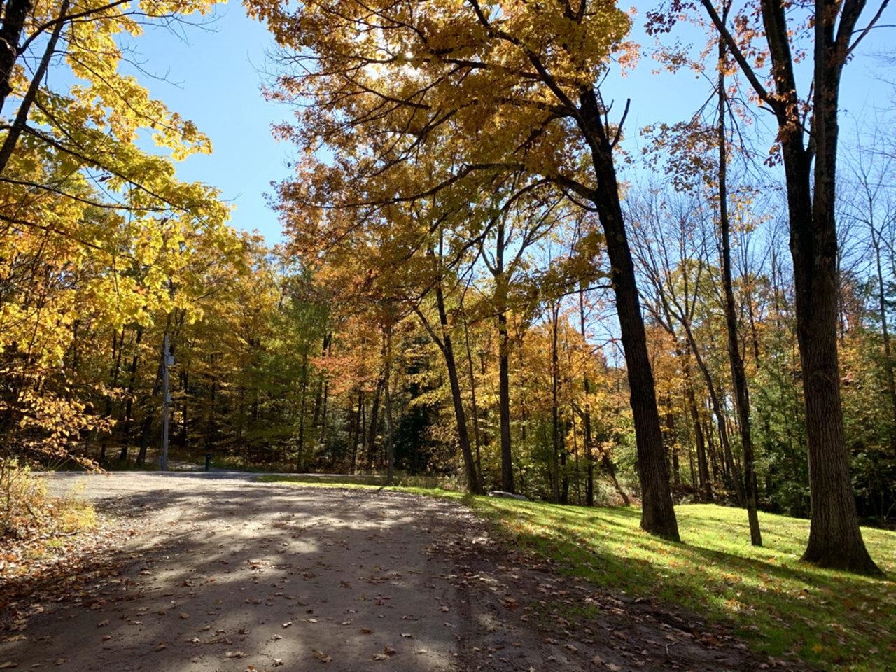 Beautiful country lot