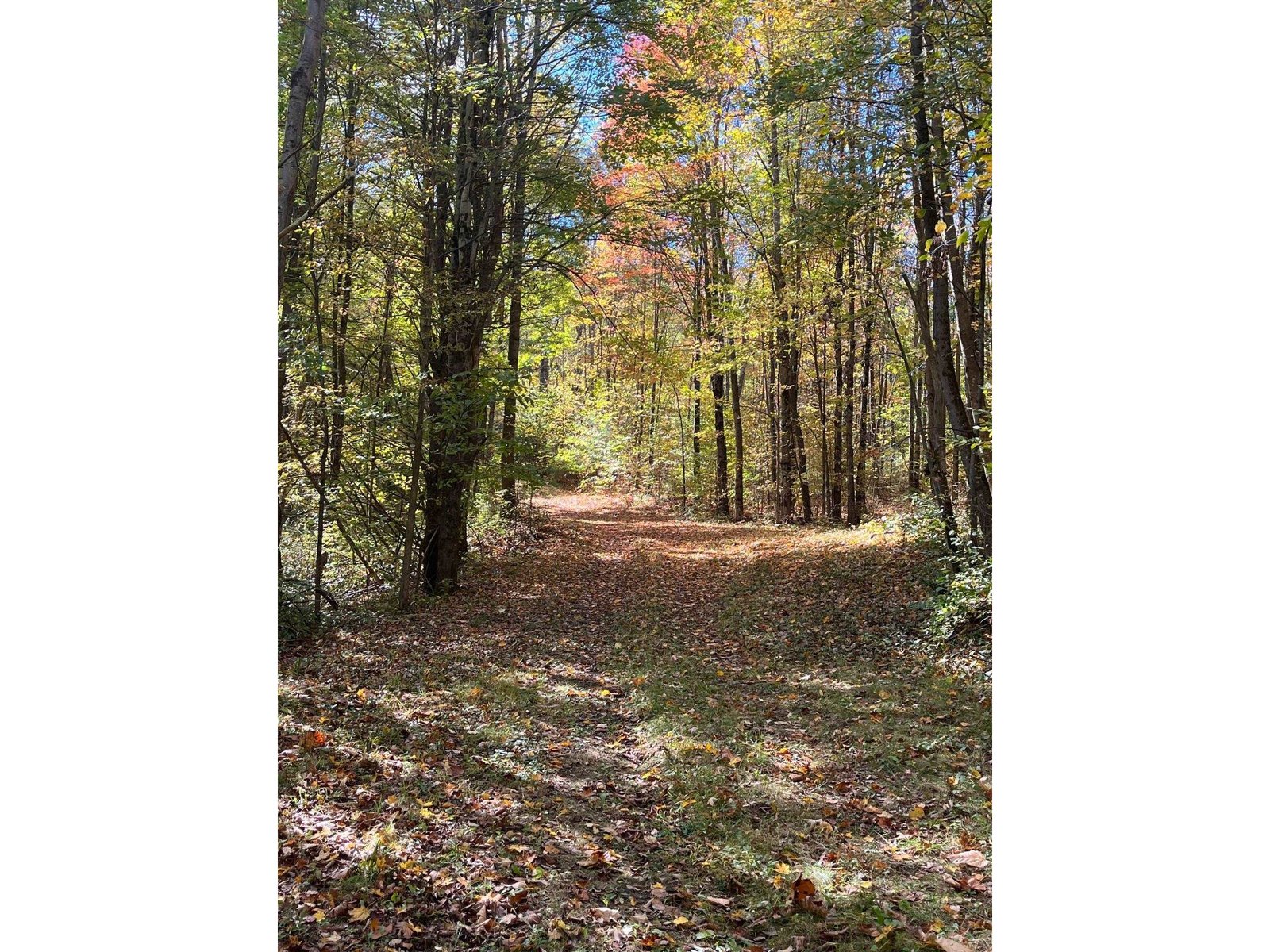 Stream through the Property