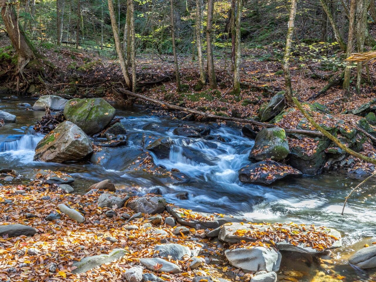 The soothing sound of water