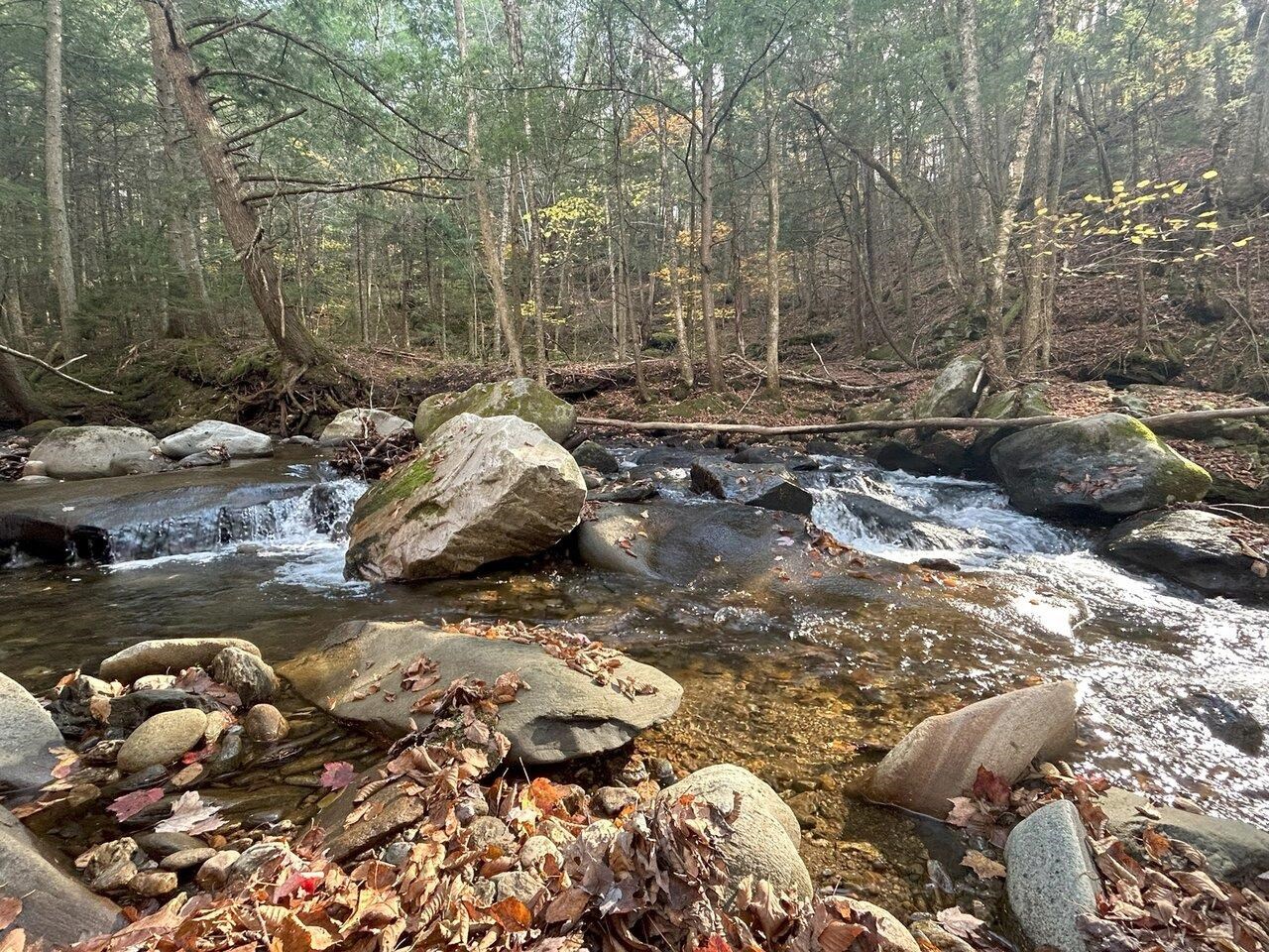 The soothing sound of water