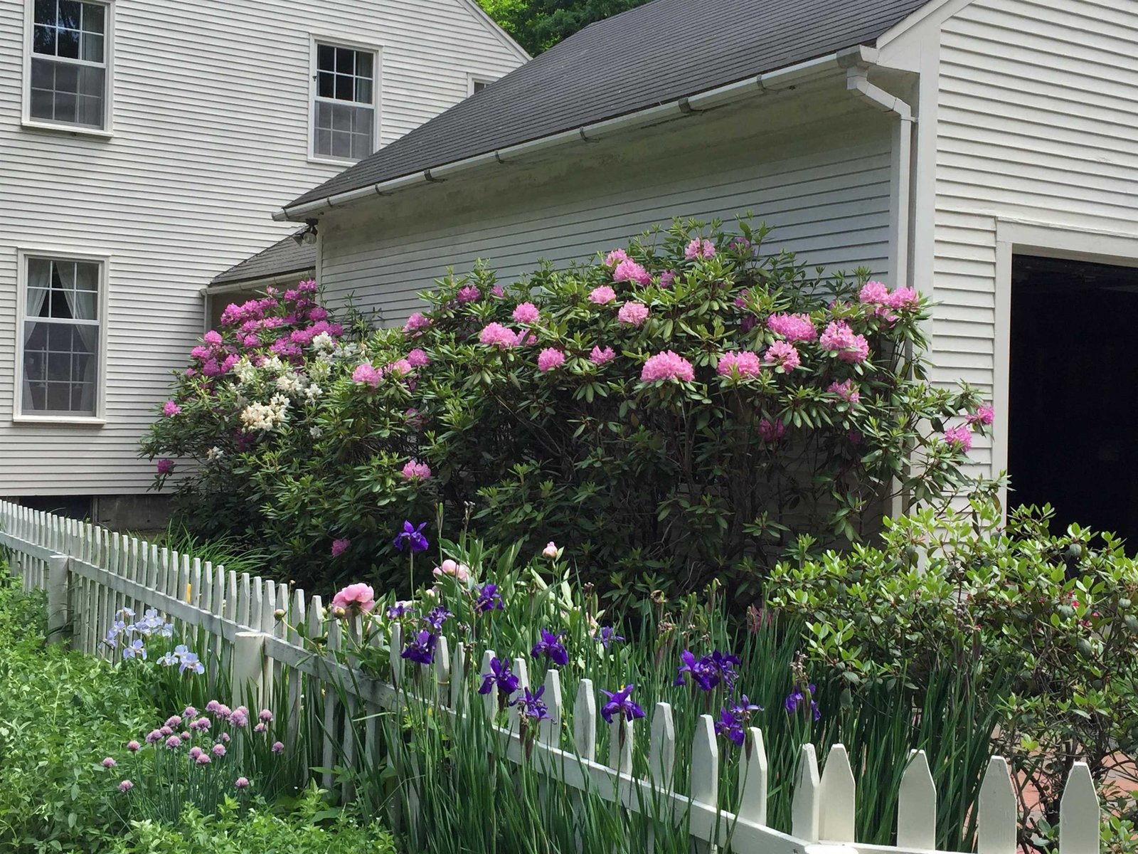 A summer view of the wrap around deck