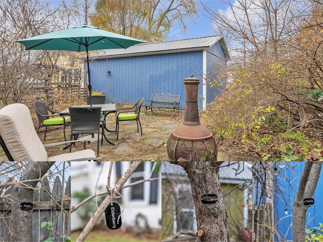 Patio w/fruit trees & berries