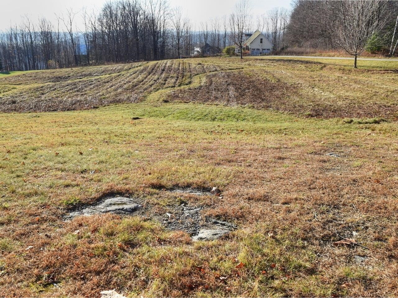 Common Land Meadow