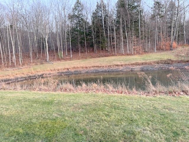 43 +/- acres of some open and wooded land