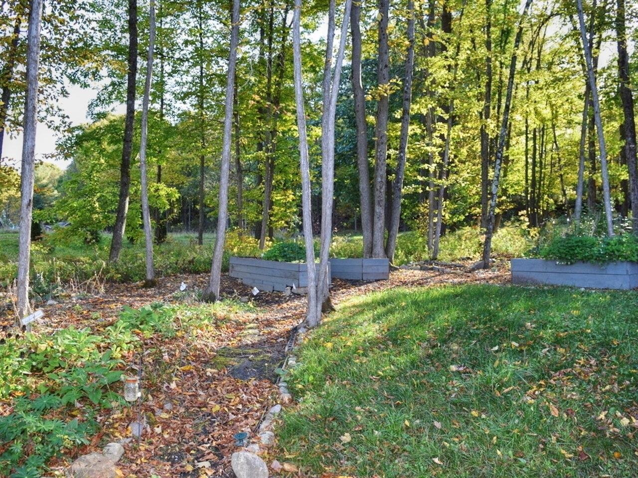 Pollinator garden, raised beds