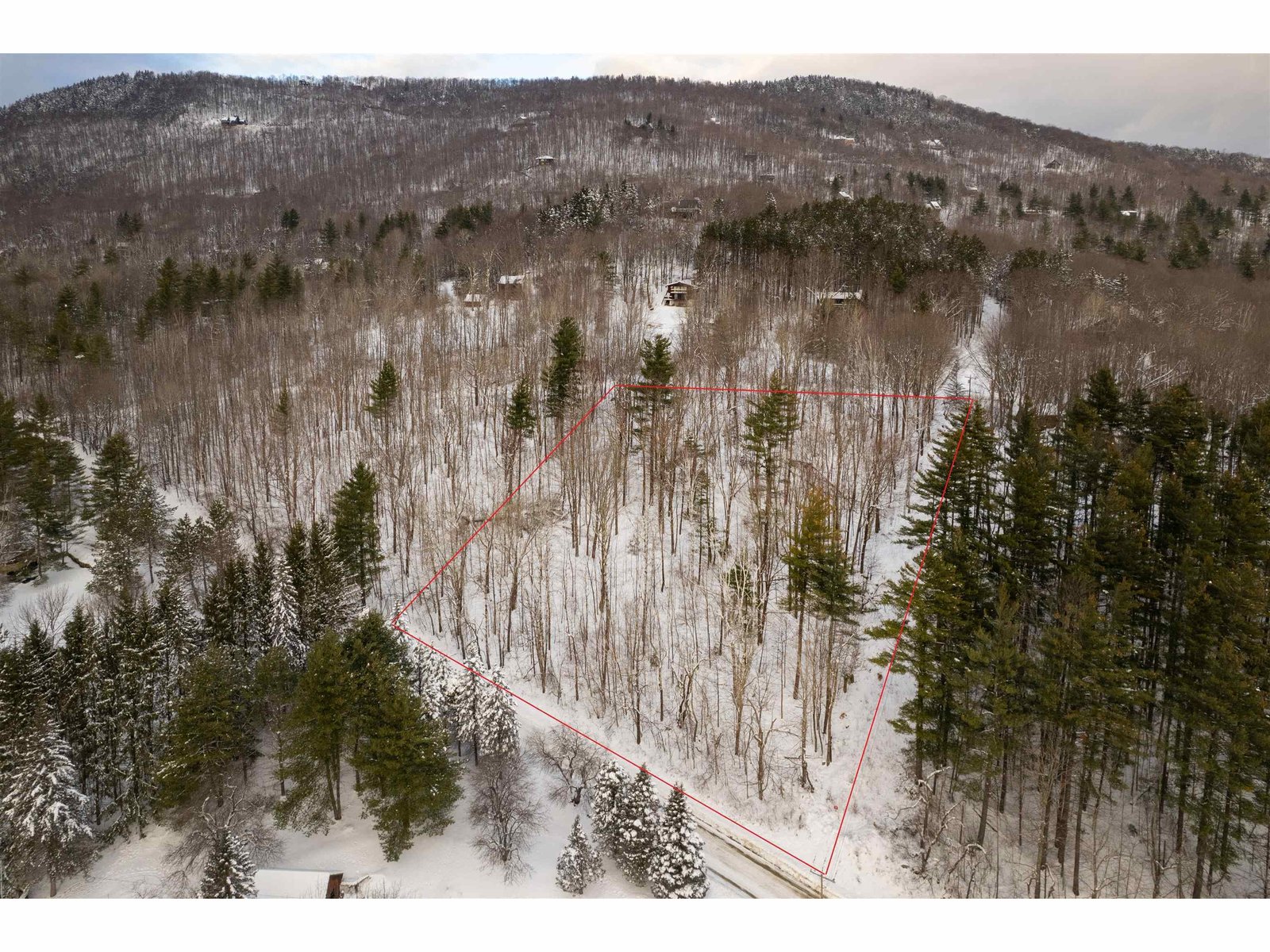 Approximate Lot Lines - Austin Hill Road in Foreground