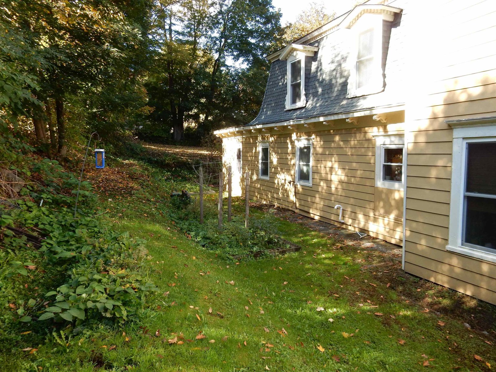 Side yard gardens