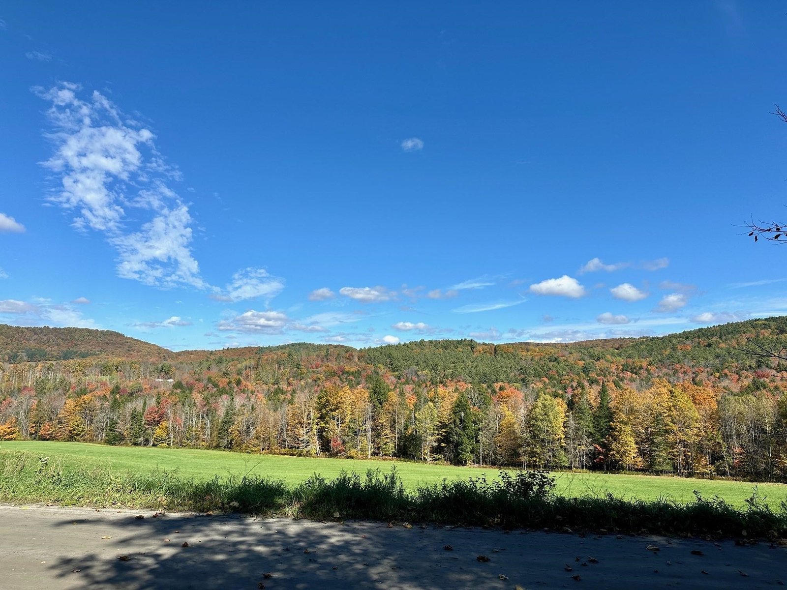 Field across from the parcel - views