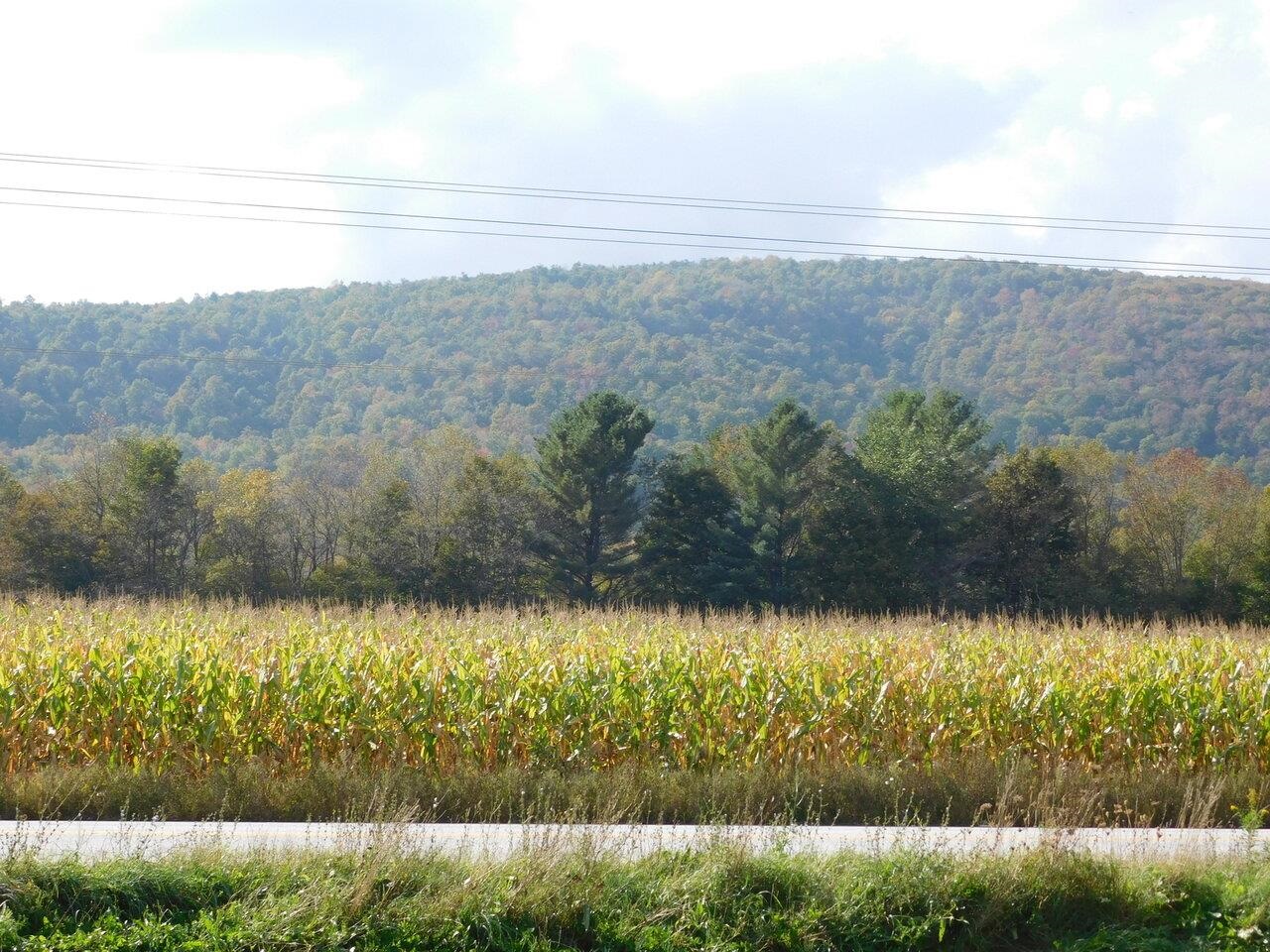 Looking out the front door