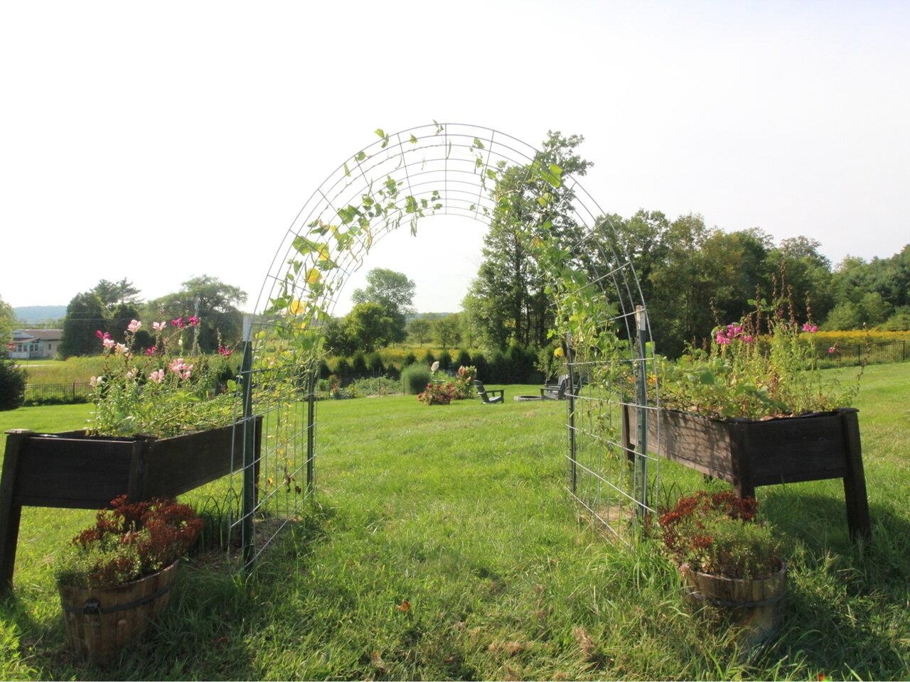 Fenced Yard