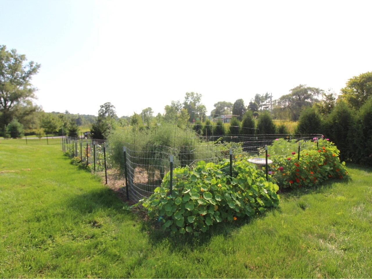 Garden Gets Lots of Sun!