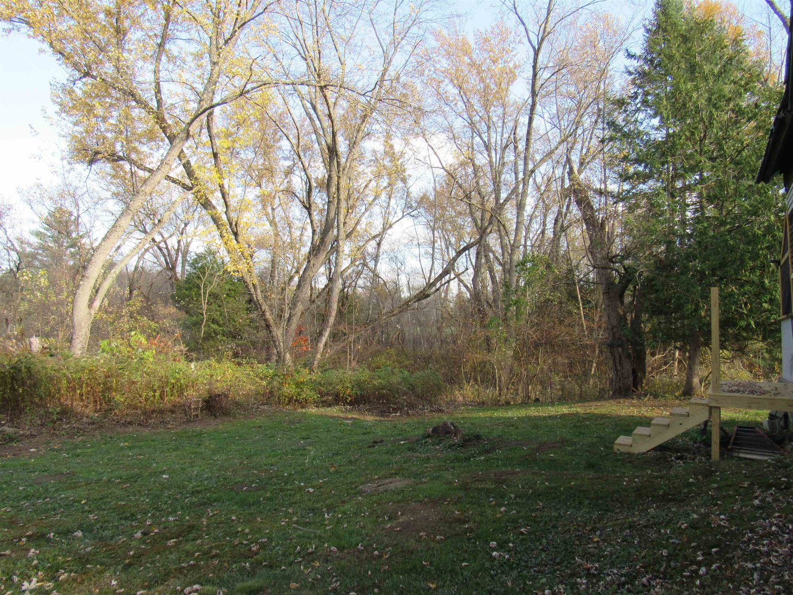 Private Back Yard and New Back Steps